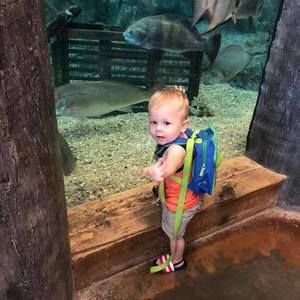 Meet your Posher, Judy